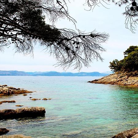 Apartment Marija Mljet 4 Sobra Εξωτερικό φωτογραφία