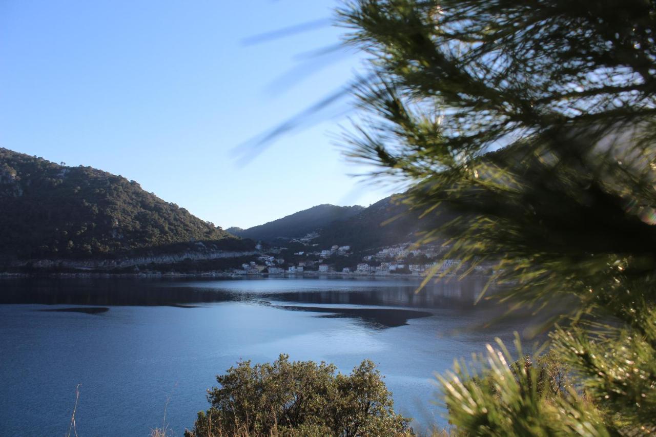 Apartment Marija Mljet 4 Sobra Εξωτερικό φωτογραφία